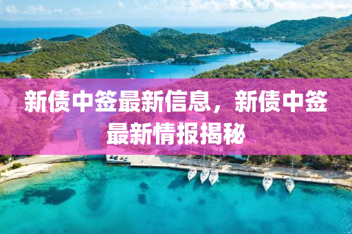 新债中签最新信息，新债中签最新情报揭秘