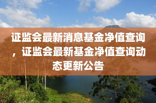 证监会最新消息基金净值查询，证监会最新基金净值查询动态更新公告