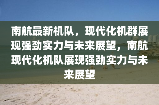 南航最新机队，现代化机群展现强劲实力与未来展望，南航现代化机队展现强劲实力与未来展望