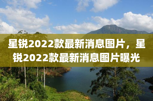 星锐2022款最新消息图片，星锐2022款最新消息图片曝光