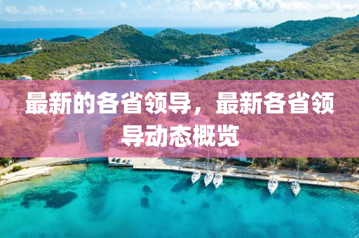 最新的各省领导，最新各省领导动态概览