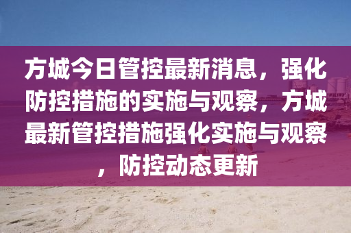 方城今日管控最新消息，强化防控措施的实施与观察，方城最新管控措施强化实施与观察，防控动态更新
