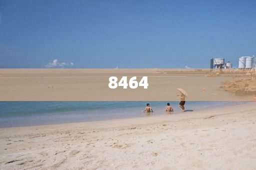 正义的使命，最新观察与深度解读，正义的使命，最新观察与深度解读报告