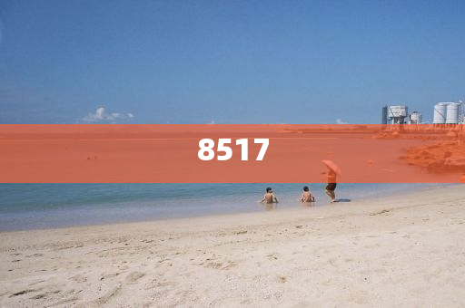 揭秘中介招聘新套路，透视背后的机遇与挑战，揭秘中介招聘新套路，机遇与挑战的深度透视